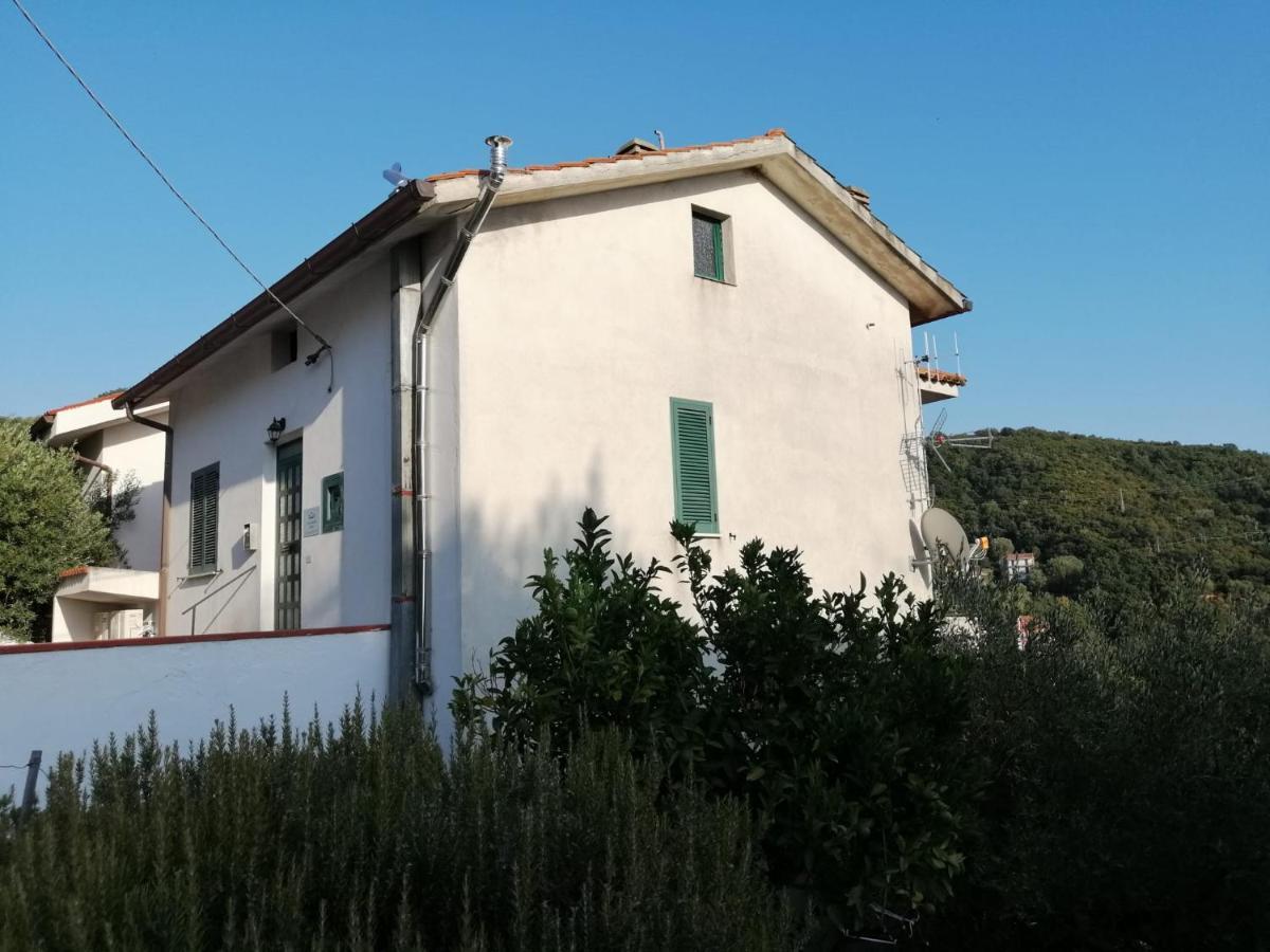 Casa Vacanze Domus 琴托拉 外观 照片